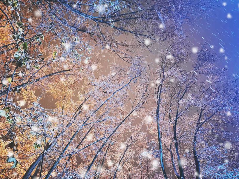 8《雪夜》(作者:艺术学院 张京京)